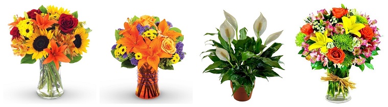 Best Flower Delivery Waterloo | Ava's Flower Shop