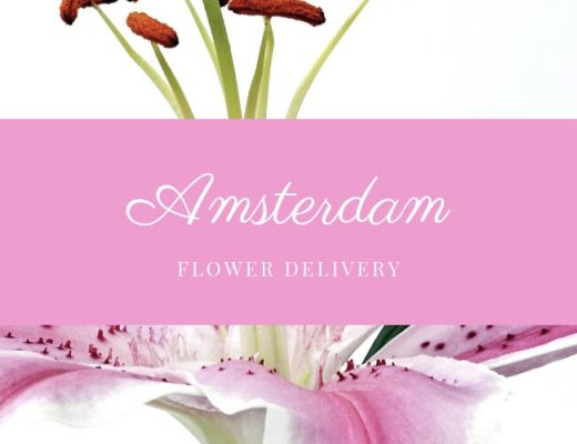 The 16 Best Options for Flower Delivery in Amsterdam