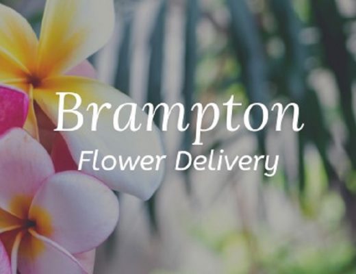 The 9 Best Options for Flower Delivery in Brampton