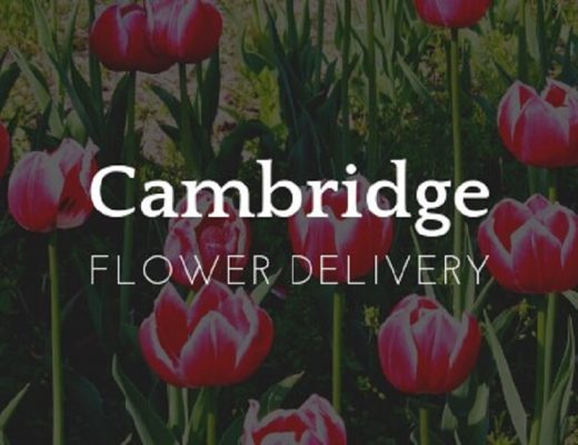 The 8 Best Options for Flower Delivery in Cambridge