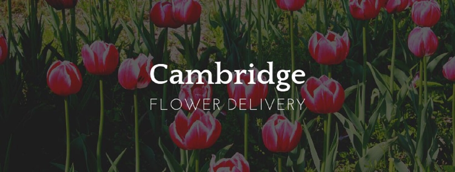 Best Flower Delivery Cambridge