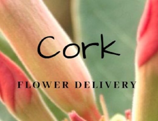 The 15 Best Options for Flower Delivery in Cork