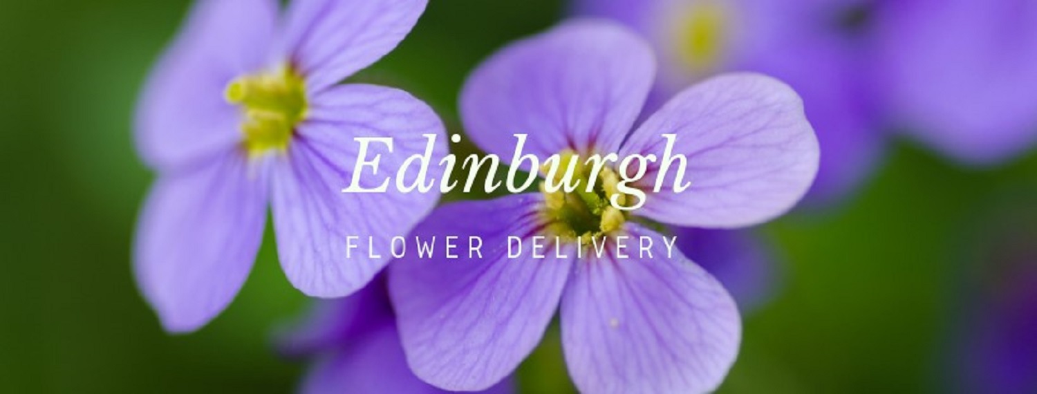 Best Flower Delivery Edinburgh