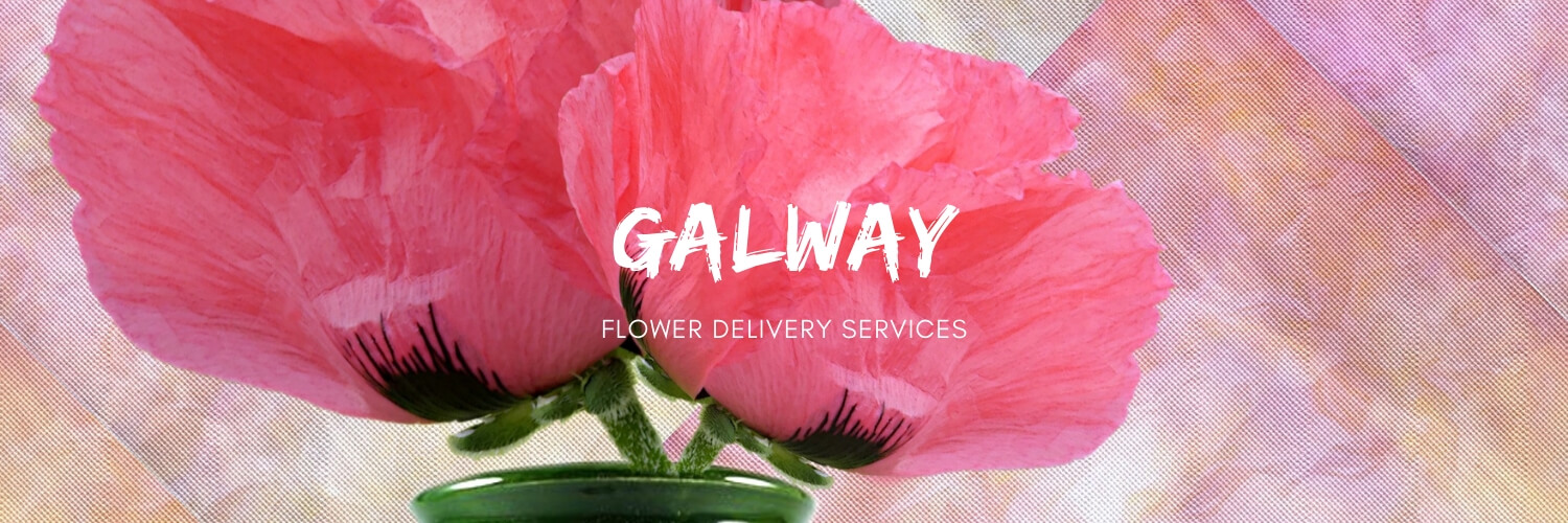 Best Flower Delivery Galway
