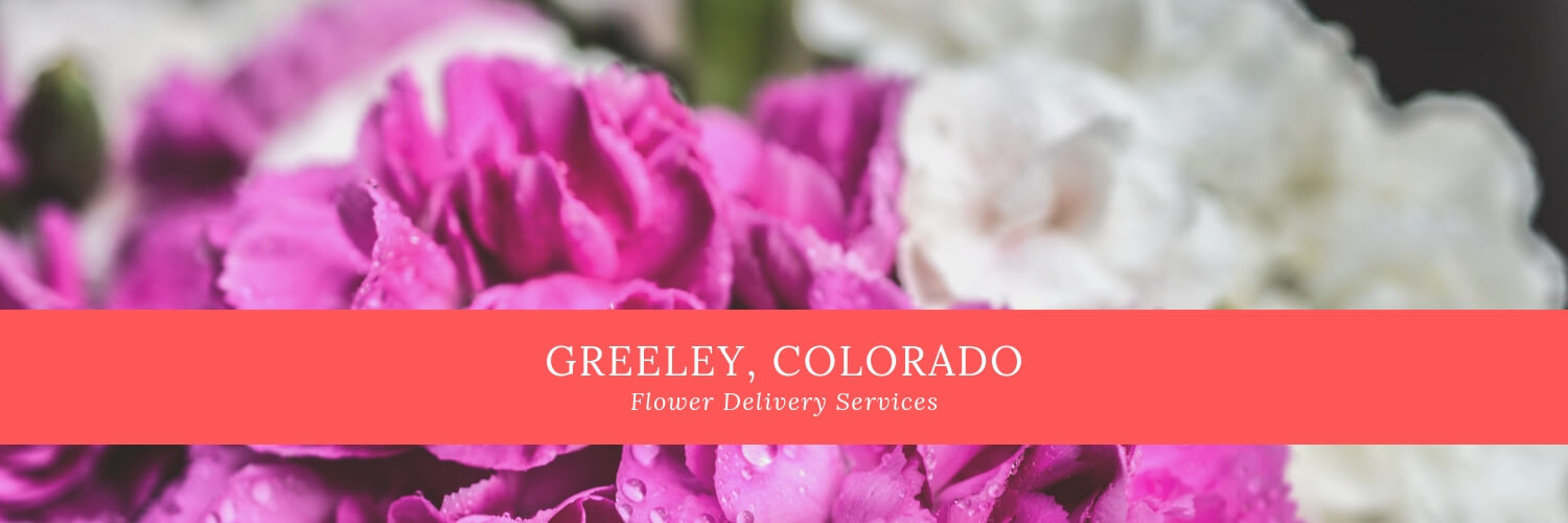 Best Flower Delivery Greeley Colorado