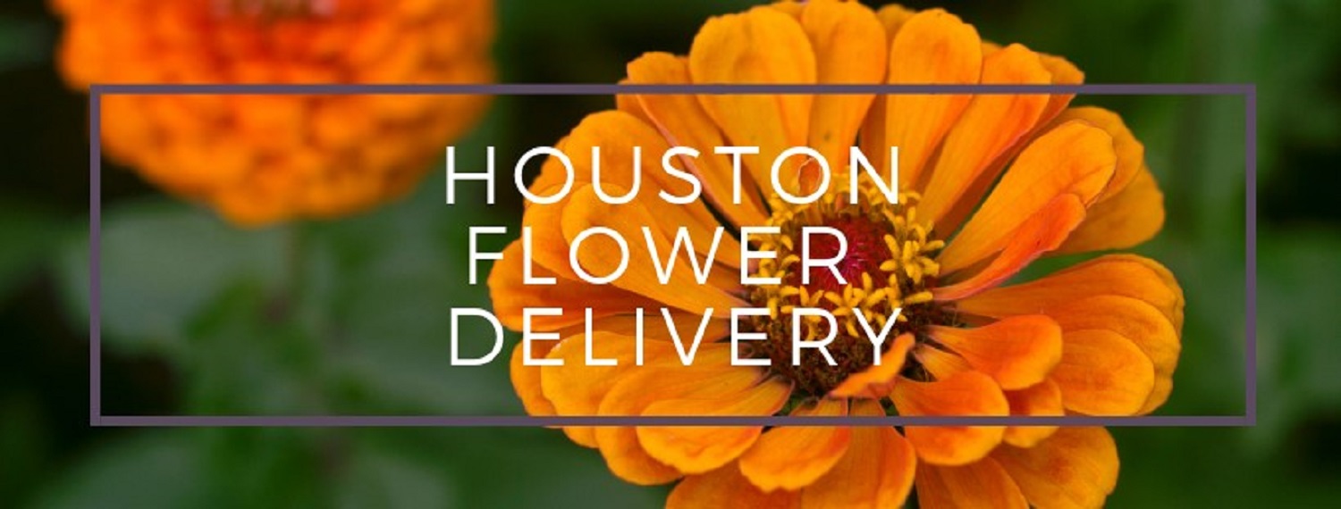 Best Flower Delivery Houston