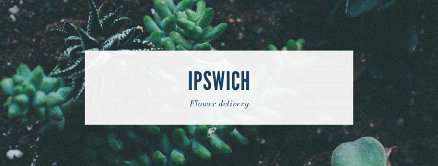 Best Flower Delivery Ipswich