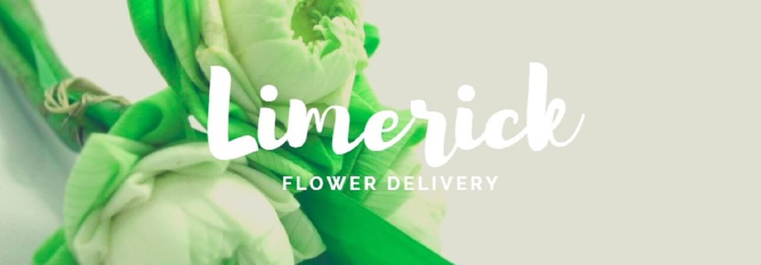 Best Flower Delivery Limerick