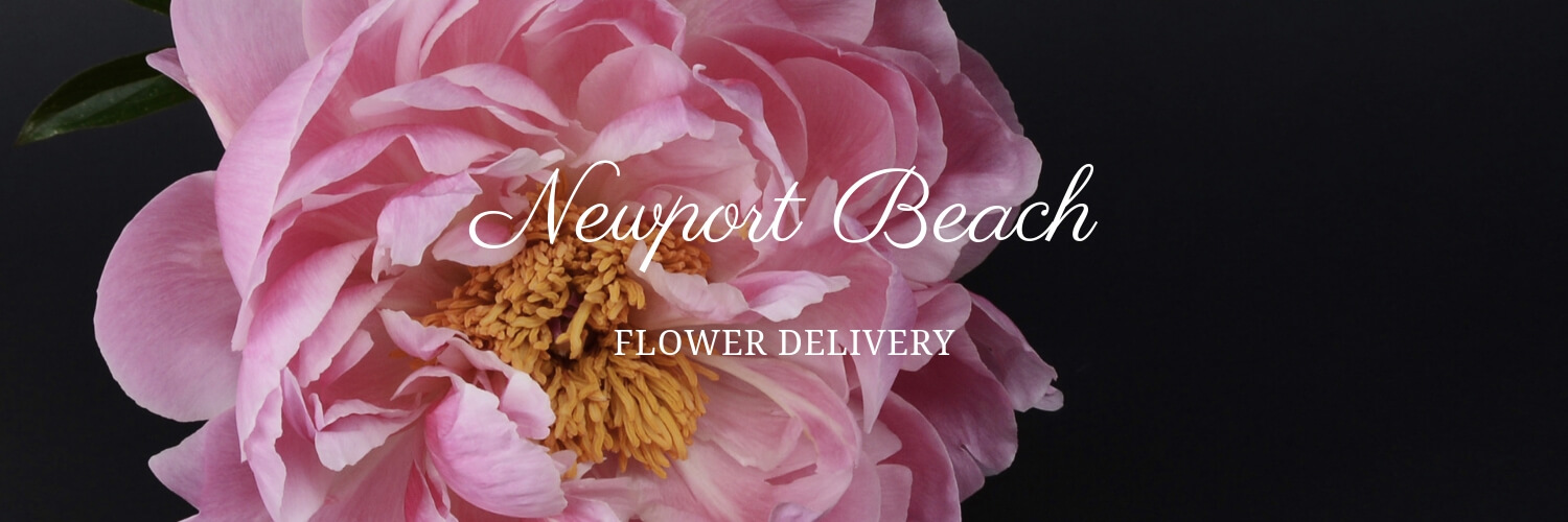 Best Flower Delivery Newport Beach