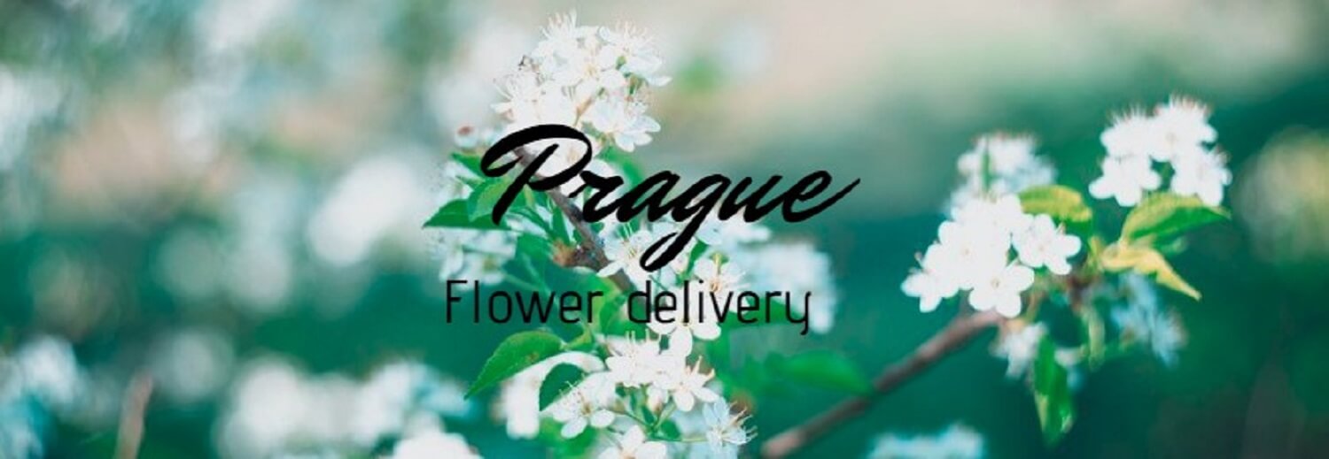 Best Flower Delivery Prague