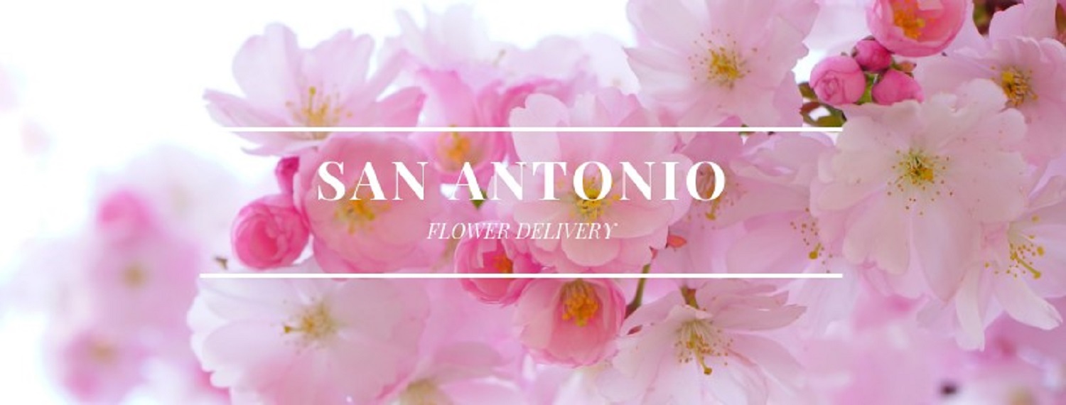 Best Flower Delivery San Antonio