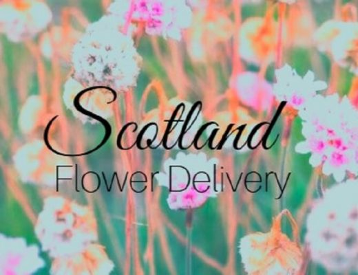 The 10 Best Options for Flower Delivery in Scotland
