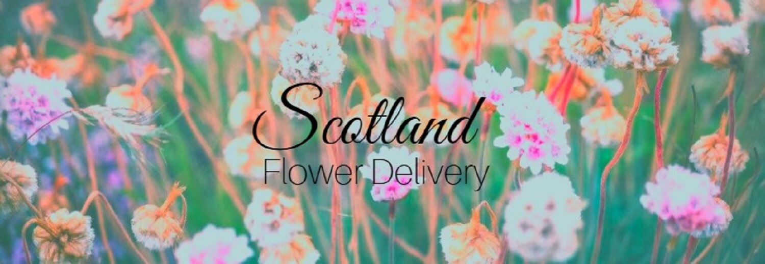 Best Flower Delivery Scotland