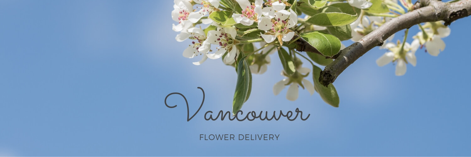 Best Flower Delivery Vancouver