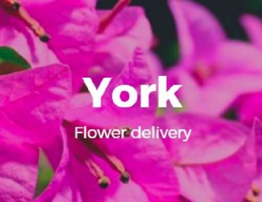 The 10 Best Options for Flower Delivery in York