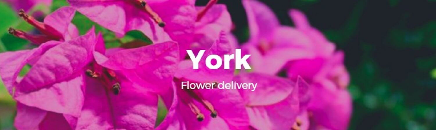 Best Flower Delivery York