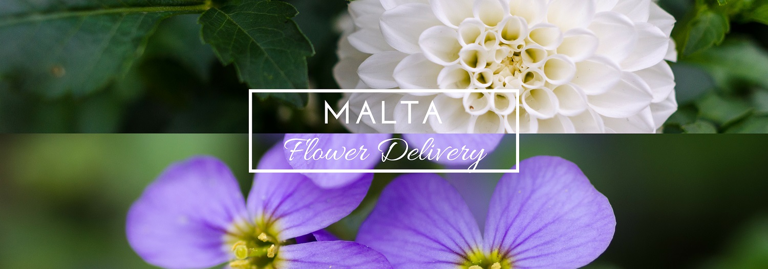 Best Options for Flower Delivery in Malta