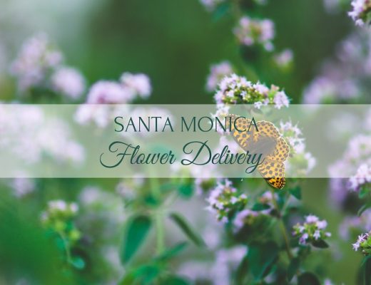 The 7 Best Options for Flower Delivery in Santa Monica