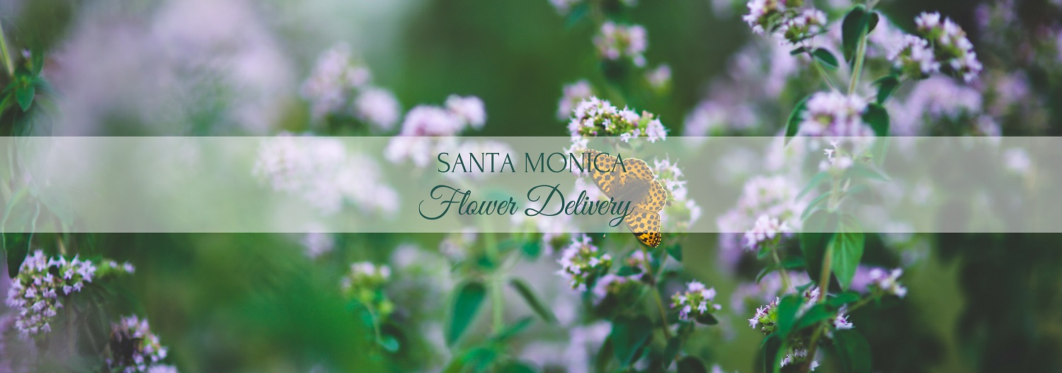Best Options for Flower Delivery in Santa Monica
