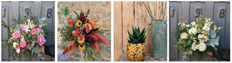 Best Flower Delivery Oxford | Bicycle Blooms
