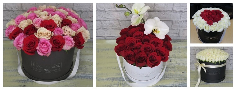 Best Flower Delivery Newton Massachusetts | Blooming Box