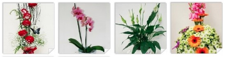 Best Flower Delivery Limerick | Floralia