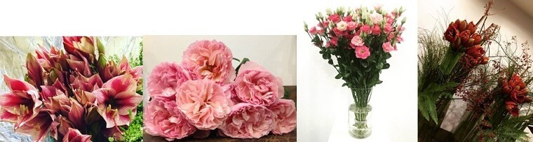 Best Flower Delivery Brussels | Flower @ttitude