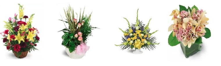 Best Flower Delivery Houston | Flower City