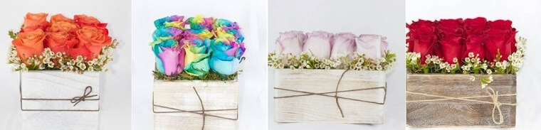Best Flower Delivery Miami | Flowerpower Miami