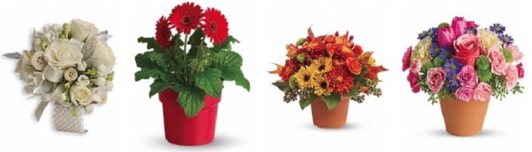 Best Flower Delivery Peterborough | Flowers by Kay