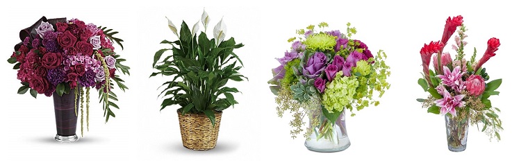 Best Flower Delivery Texas | Flowers of Kingwood