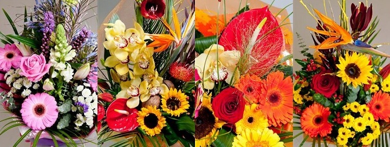 Best Flower Delivery Cork | Fox Flowers