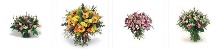 Best Flower Delivery Israel | Gordon Flowers