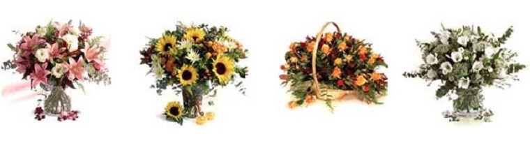 Best Flower Delivery Israel | Israel Flowers Center