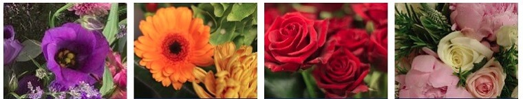 Best Flower Delivery Oxford | Jemini Flowers