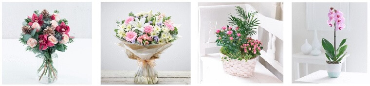 Best Flower Delivery Oxford | Joe Austin Florist