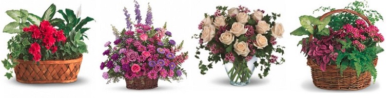 Best Flower Delivery Spokane | Liberty Park Florist
