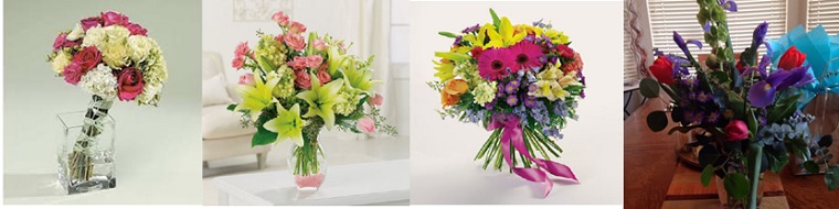 Best Flower Delivery St George Utah | Patches of Iris and Violets