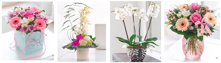 Best Flower Delivery Glasgow | Petals Flowers
