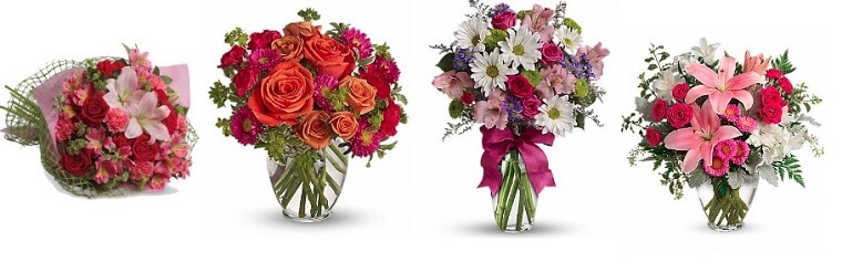 Best Flower Delivery Peterborough | Rambling Rose