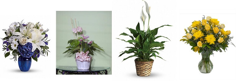Best Flower Delivery Florida | Sanford Flower Shop