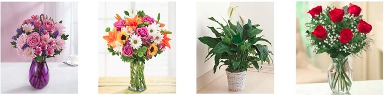 Best Flower Delivery Houston | Sicola's Florist