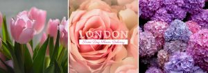 The 12 Best Options for Same Day Flower Delivery in London