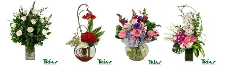 Best Flower Delivery Miami | Trias Flowers and Gifts