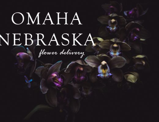 The 10 Best Options for Flower Delivery in Omaha Nebraska