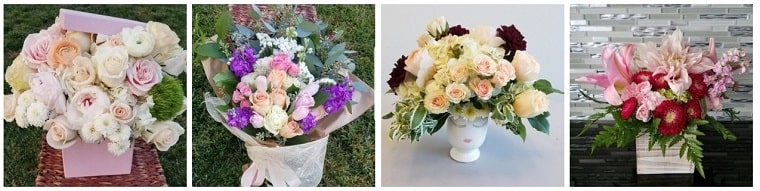 Best Flower Delivery San Jose | Ann's Petals