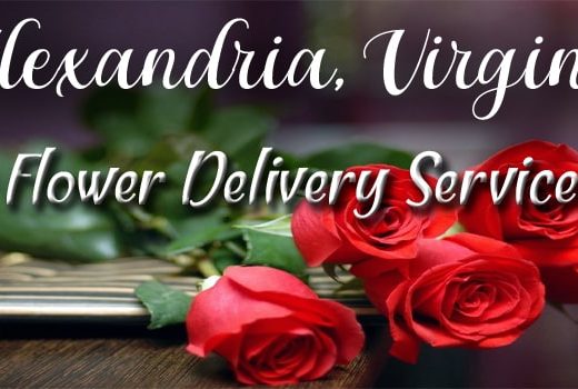 The 12 Best Options for Flower Delivery in Alexandria, Virginia