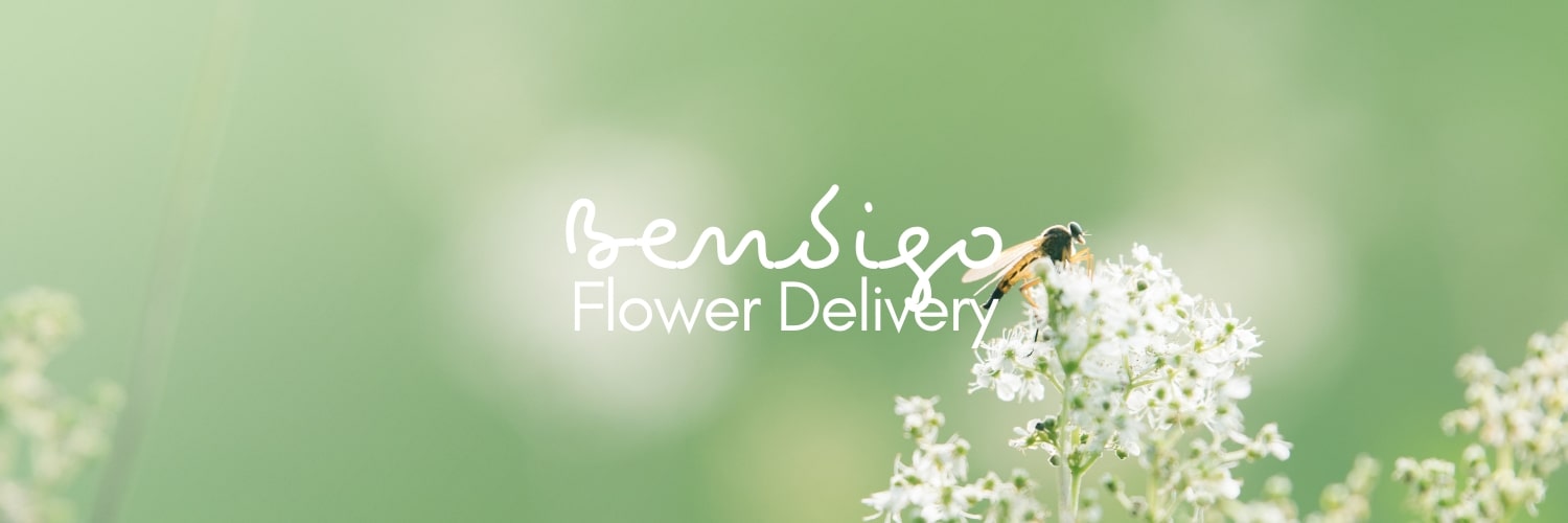 Best Flower Delivery Bendigo