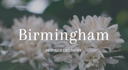 The 14 Best Options for Flower Delivery in Birmingham