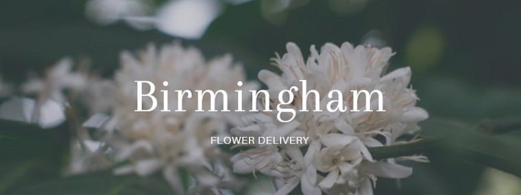 Best Flower Delivery Birmingham